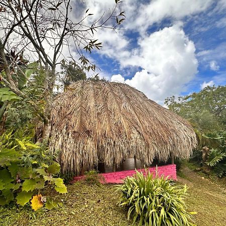 Sierra Alta Finca Boutique Minca Exterior foto