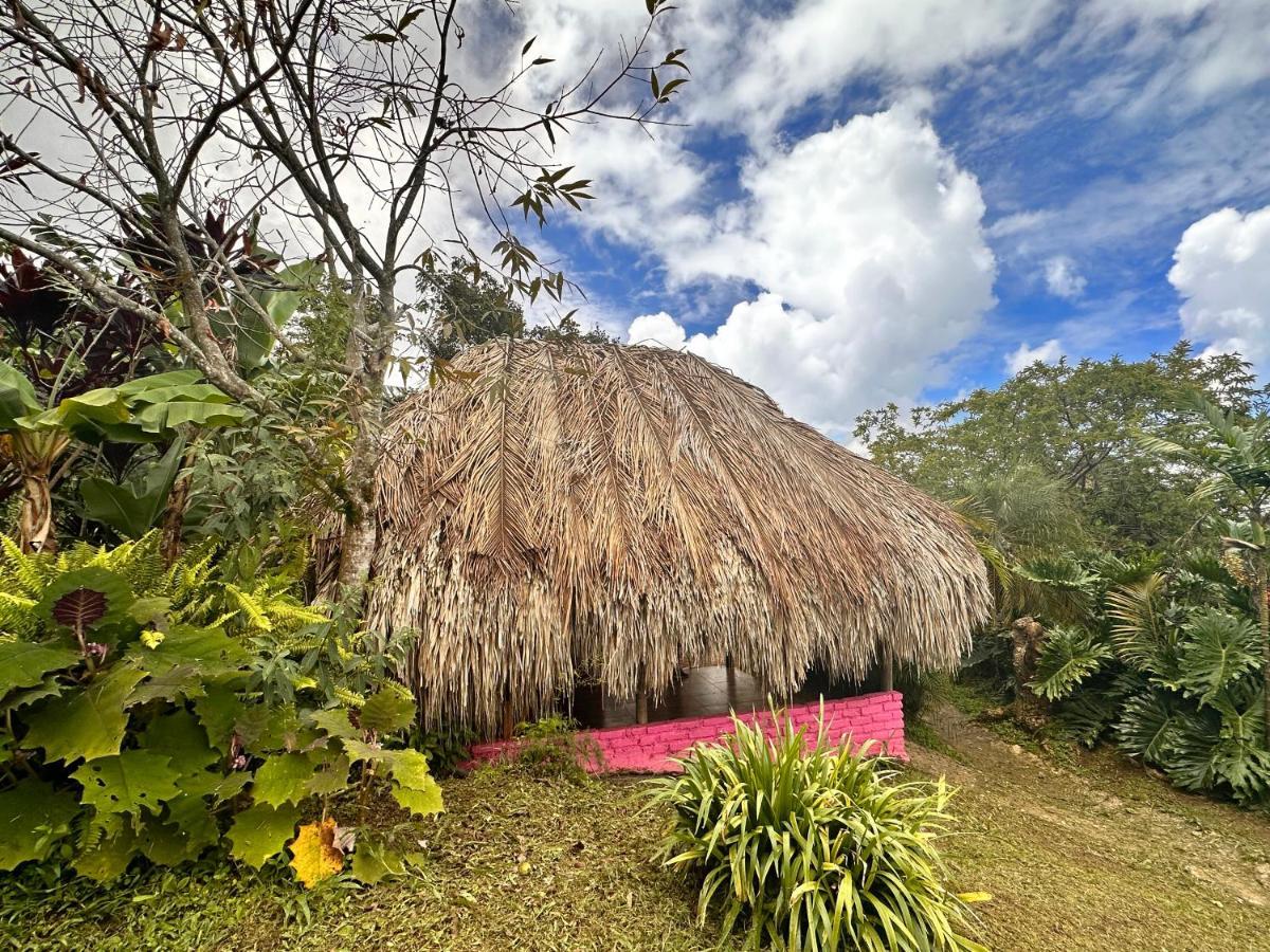 Sierra Alta Finca Boutique Minca Exterior foto